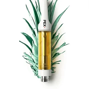 Bloom Pineapple Express